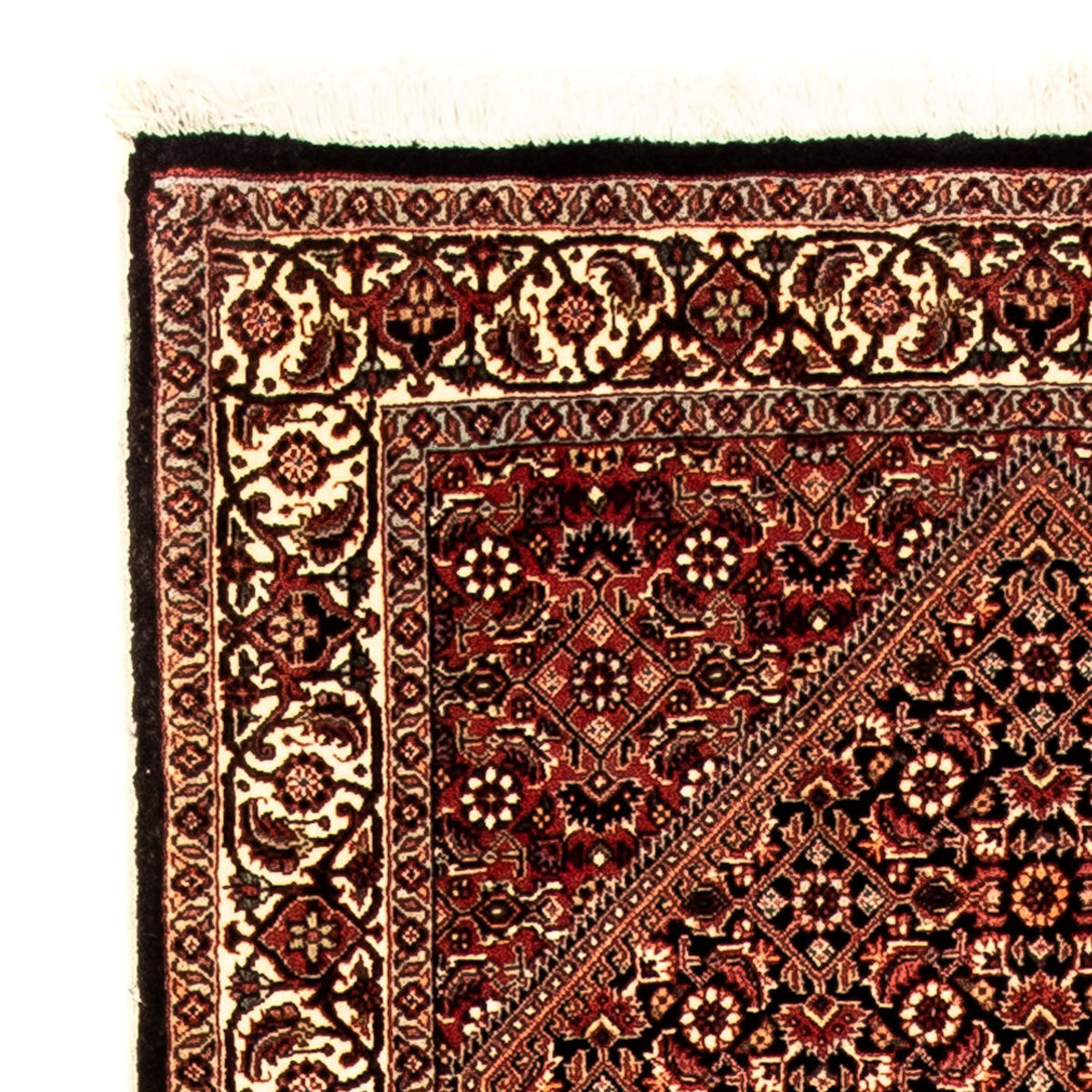 Runner Persisk matta - Bijar - 310 x 83 cm - flerfärgad