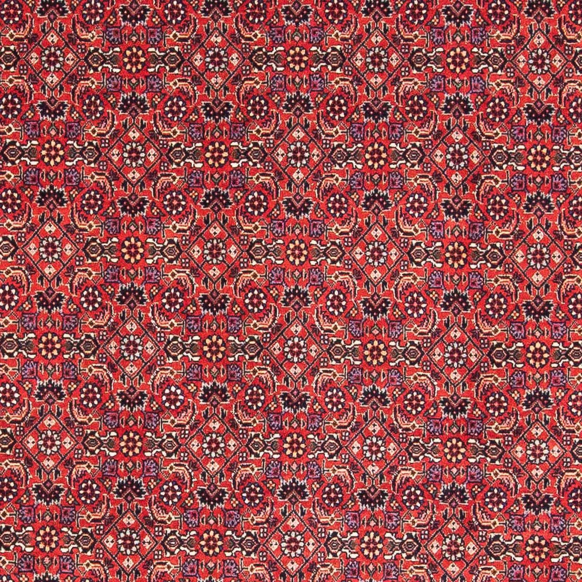 Persisk matta - Bijar kvadrat  - 126 x 124 cm - röd