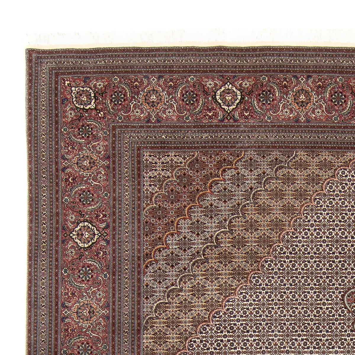 Tabriz - 50 Raj Mattan 253x348cm - Persisk matta