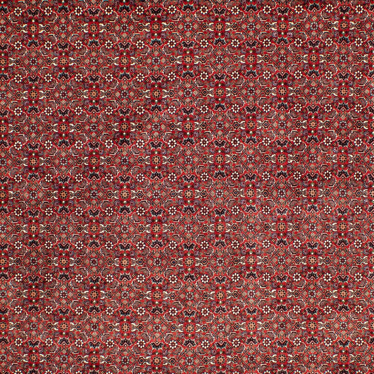Persisk matta - Bijar - 302 x 210 cm - mörkröd