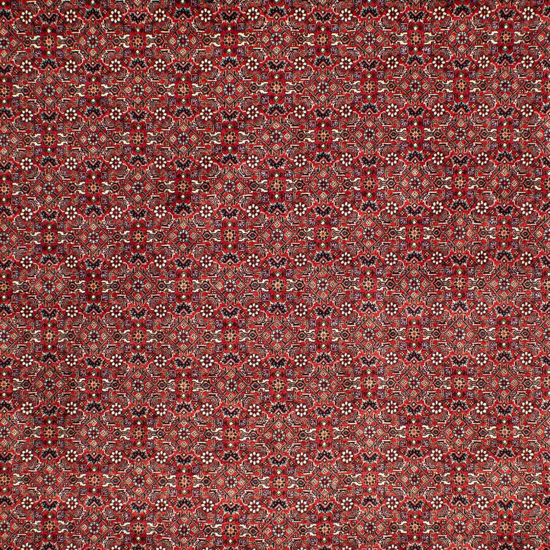 Persisk matta - Bijar - 302 x 210 cm - mörkröd