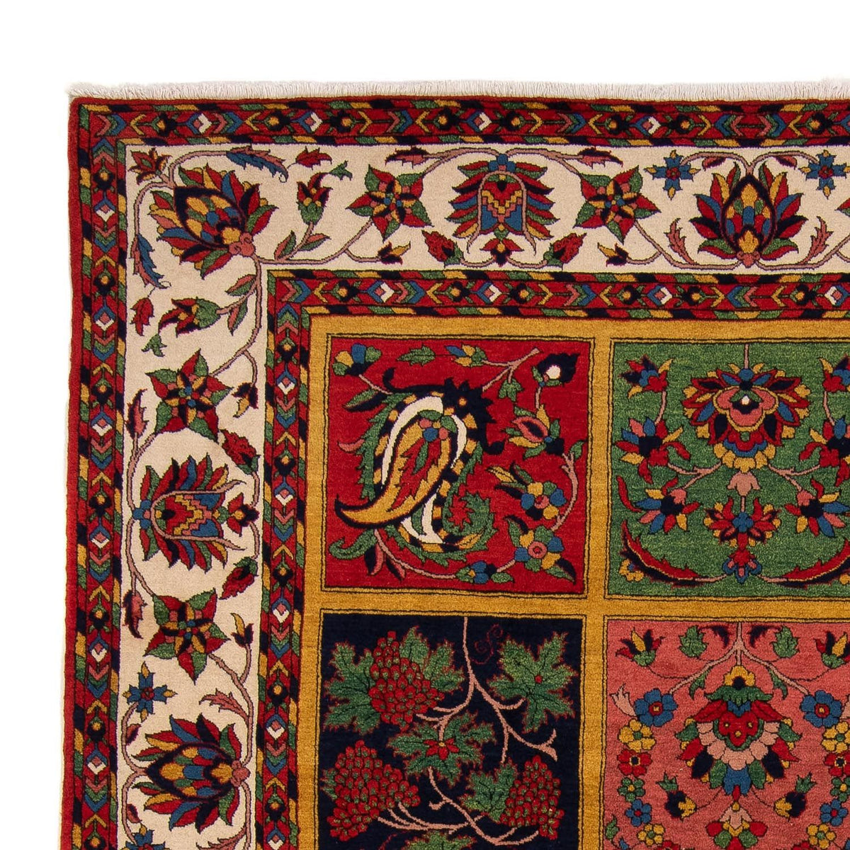 Bakhtiari Mattan 246x338cm - Persisk matta