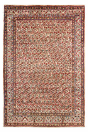 Persisk matta - Royal - 307 x 205 cm - beige