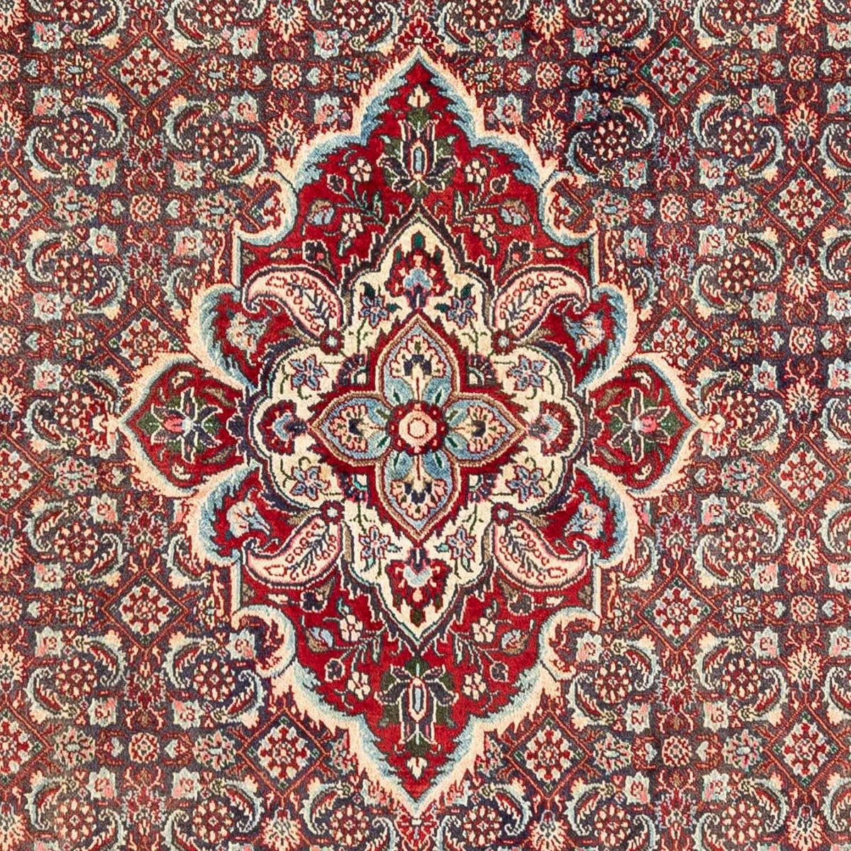 Persisk matta - Nomadic - 295 x 195 cm - brun