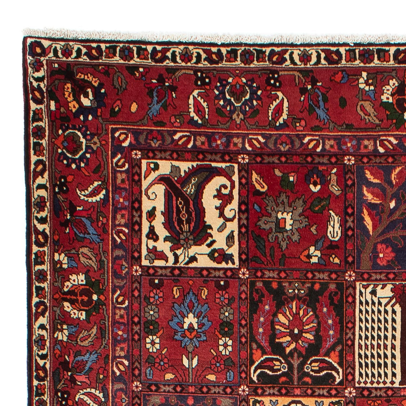 Bakhtiari Mattan 310x210cm - Persisk matta