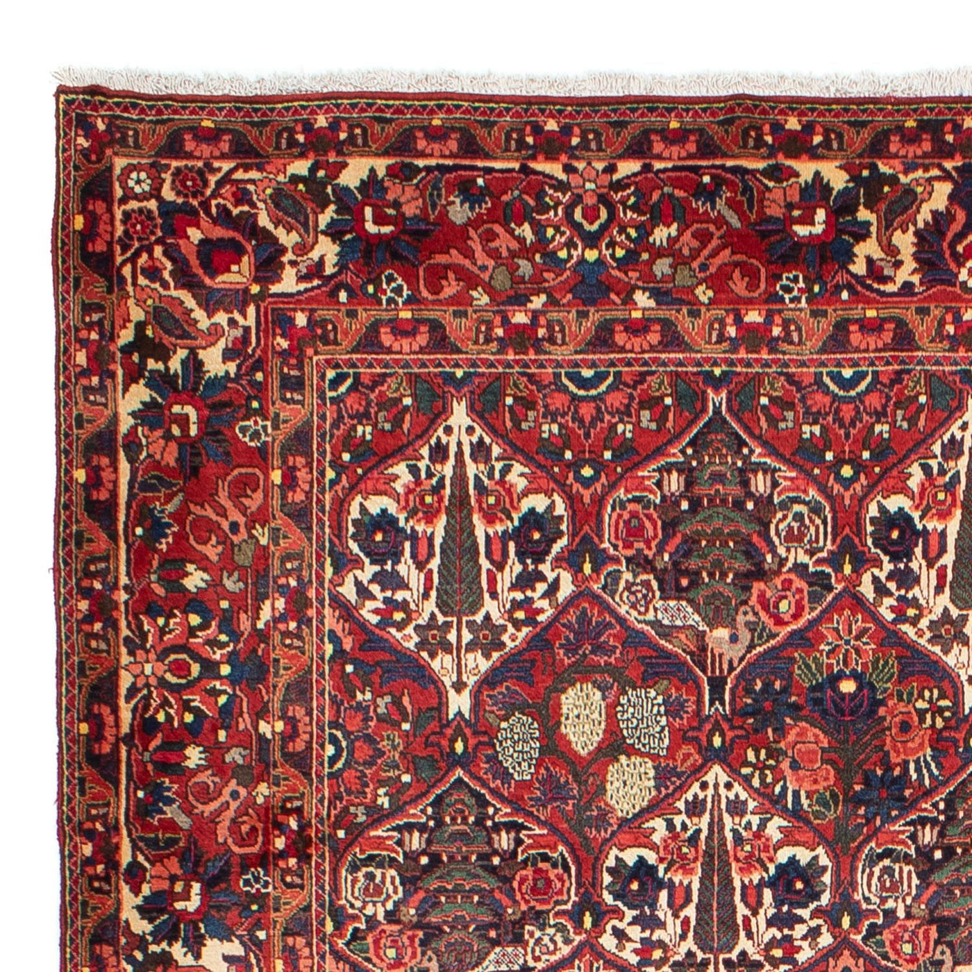 Bakhtiari Mattan 323x210cm - Persisk matta