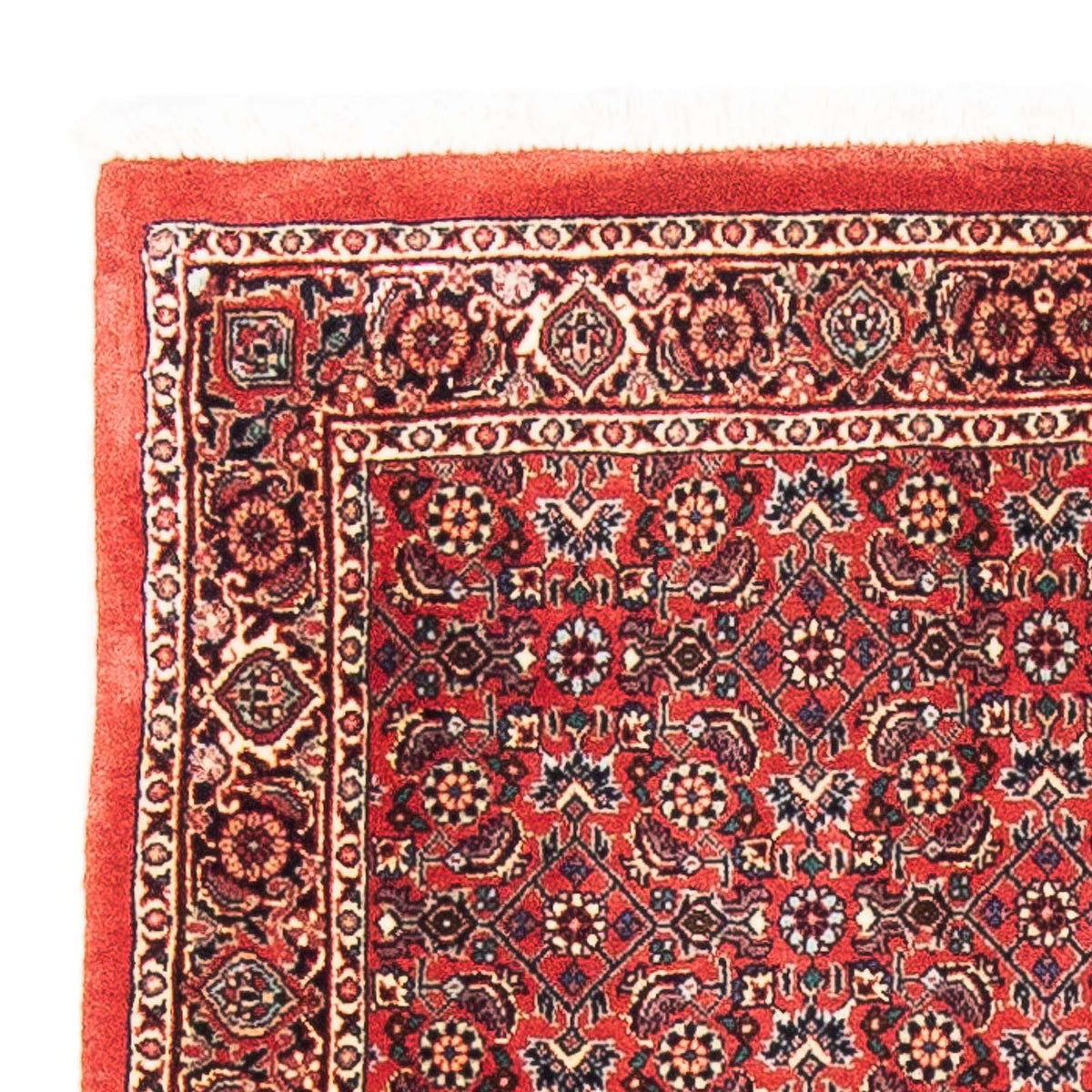 Bidjar Mattan 84x138cm - Persisk matta