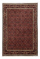 Bidjar Mattan 172x246cm - Persisk matta
