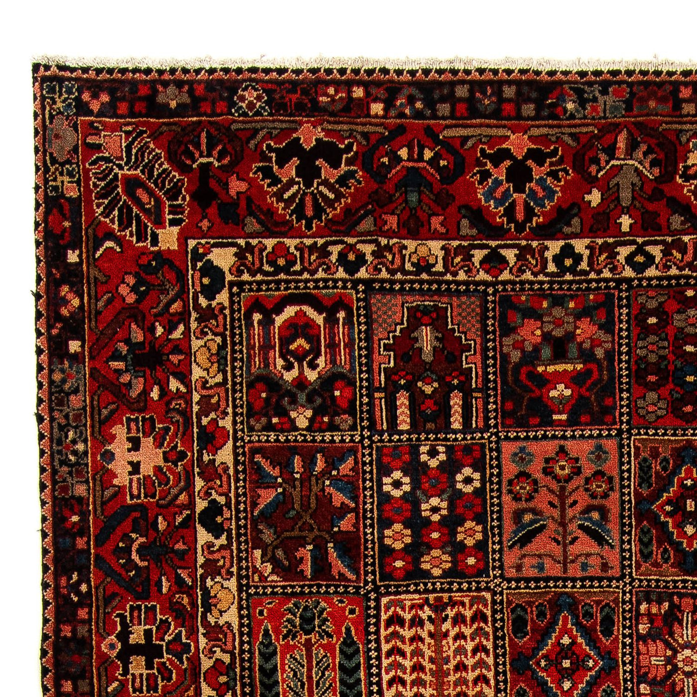 Bakhtiari Mattan 351x302cm - Persisk matta