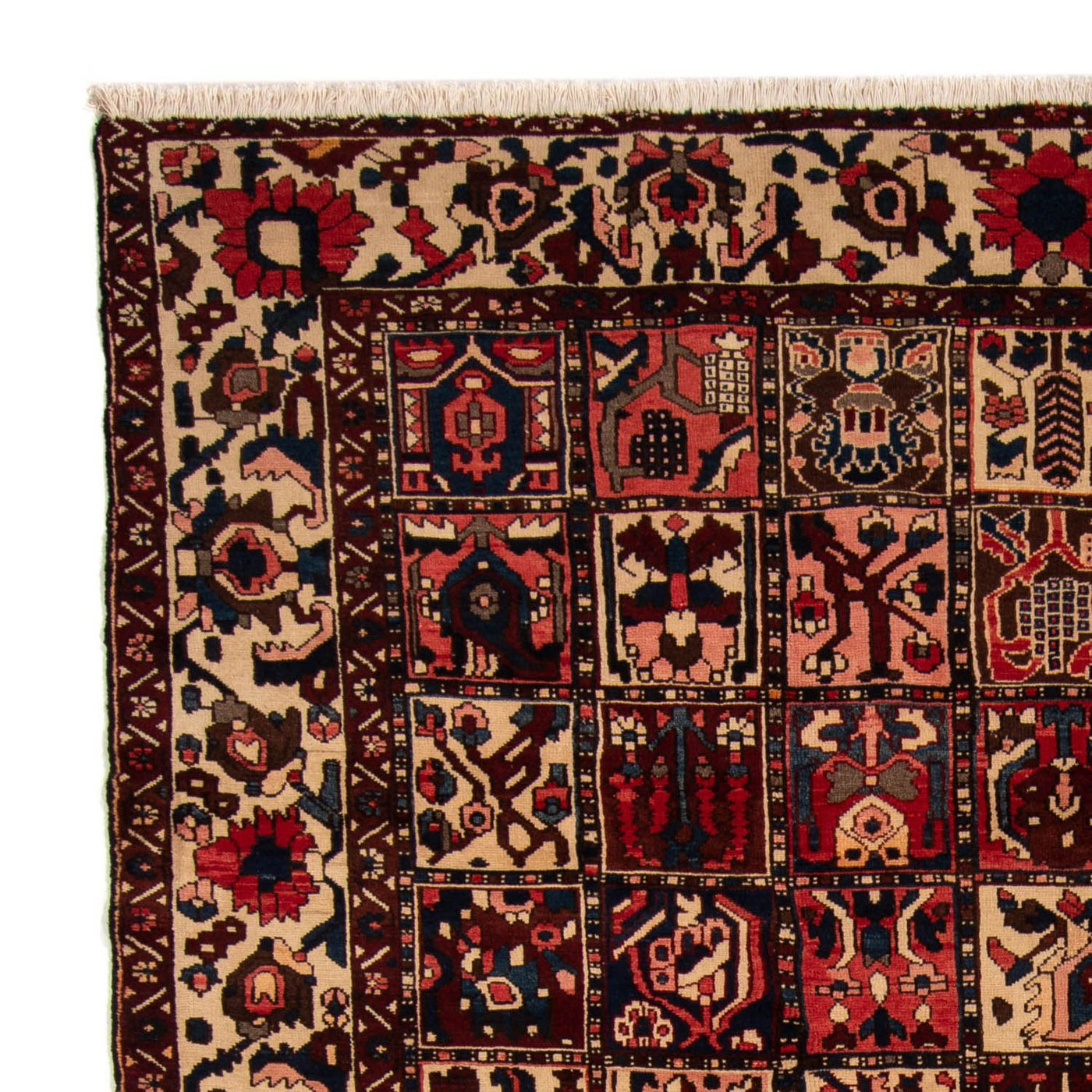 Bakhtiari Mattan 337x258cm - Persisk matta