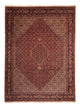 Bidjar Mattan 248x338cm - Persisk matta