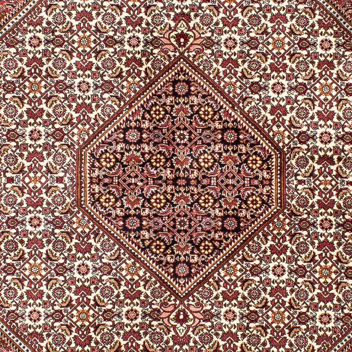 Persisk matta - Bijar - 240 x 170 cm - beige