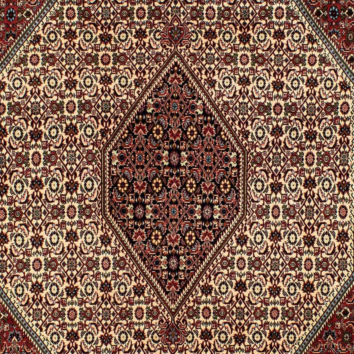 Persisk matta - Bijar - 300 x 200 cm - beige
