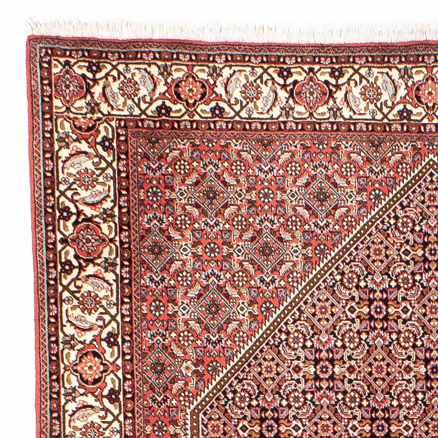 Bidjar Mattan 250x169cm - Persisk matta