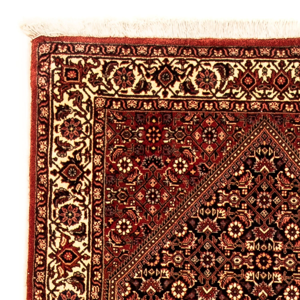 Runner Persisk matta - Bijar - 315 x 86 cm - flerfärgad