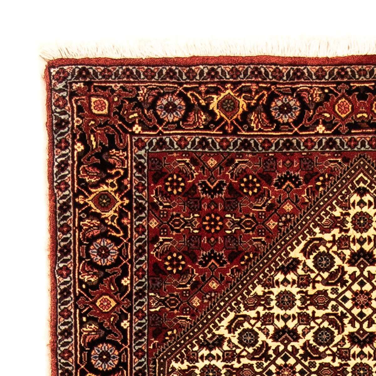 Runner Persisk matta - Bijar - 300 x 84 cm - flerfärgad