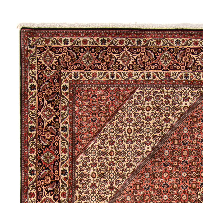 Persisk matta - Bijar - 343 x 250 cm - brun