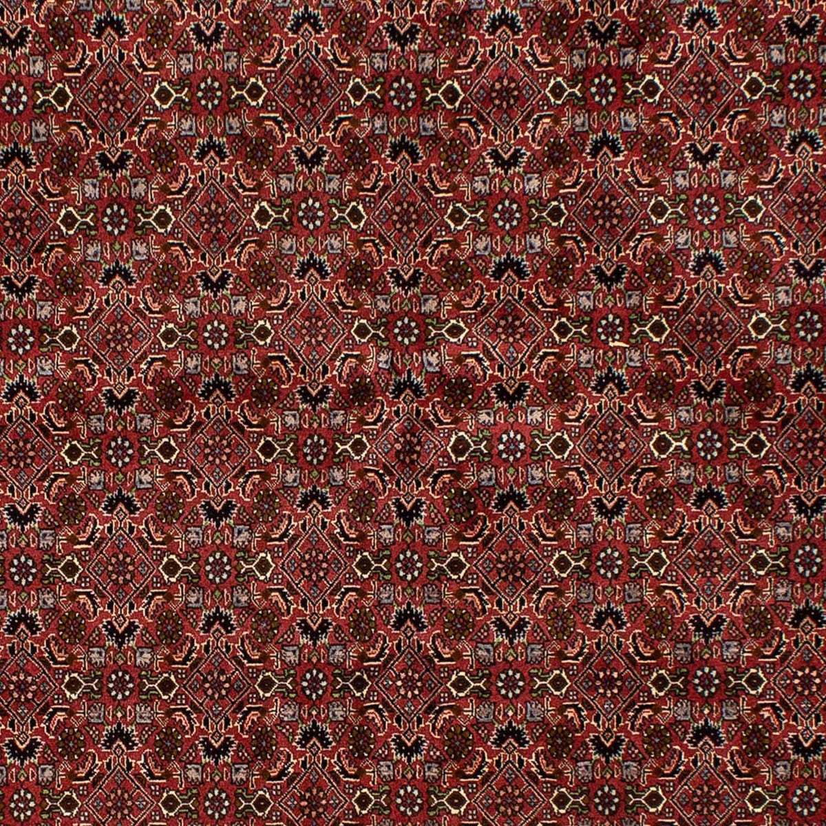 Persisk matta - Bijar - 245 x 177 cm - mörkröd