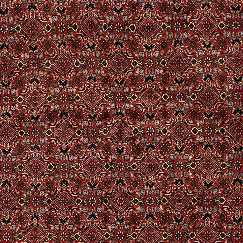 Persisk matta - Bijar - 245 x 177 cm - mörkröd