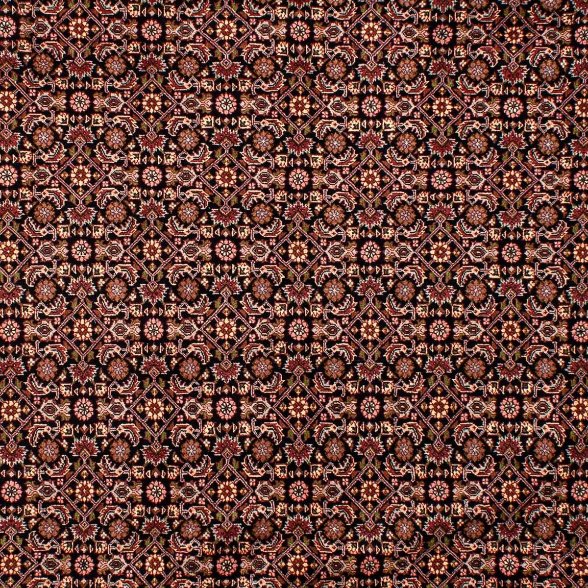 Persisk matta - Bijar - 292 x 199 cm - mörkblå