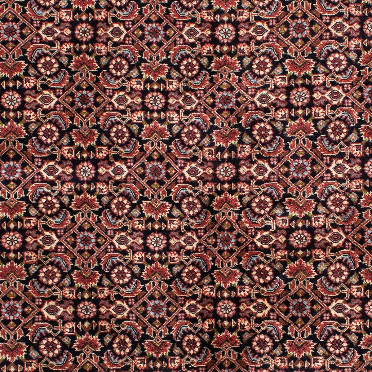 Persisk matta - Bijar - 213 x 141 cm - mörkbrun