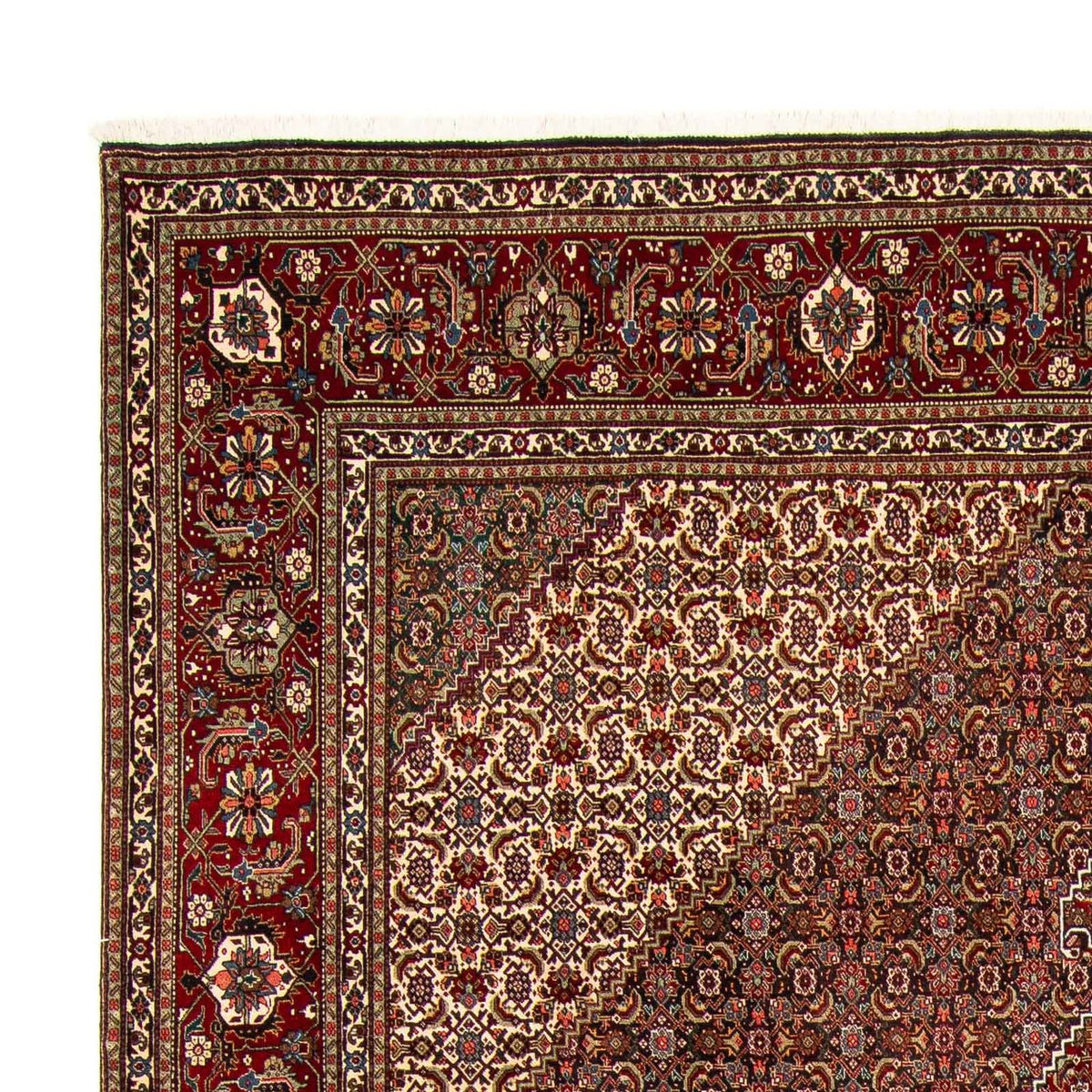 Tabriz Mattan 302x391cm - Persisk matta