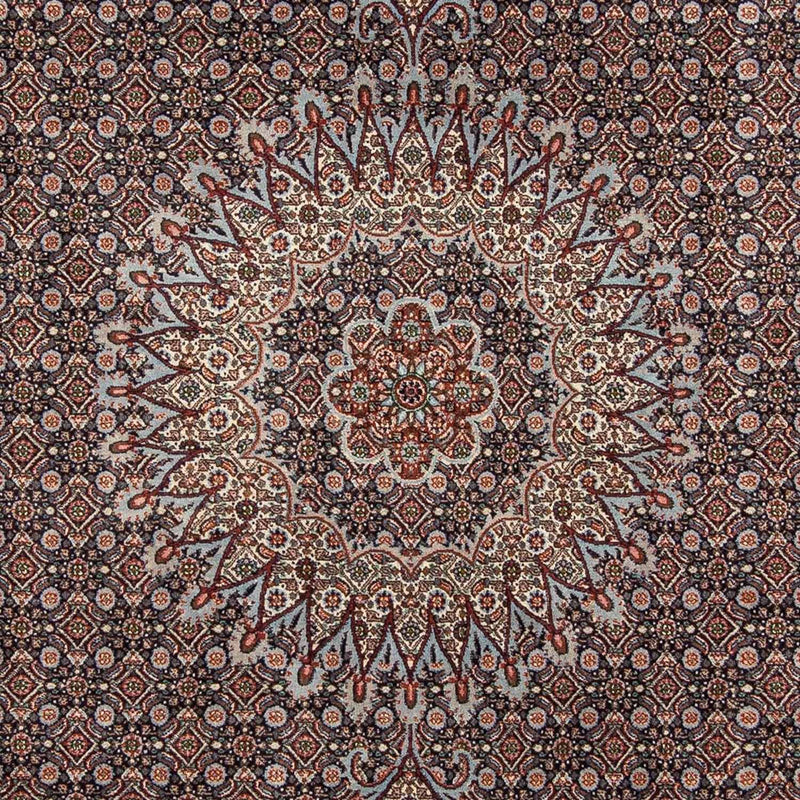 Persisk matta - Classic - 273 x 211 cm - mörkblå