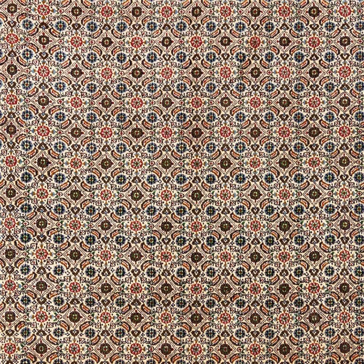 Persisk matta - Classic - 345 x 244 cm - beige