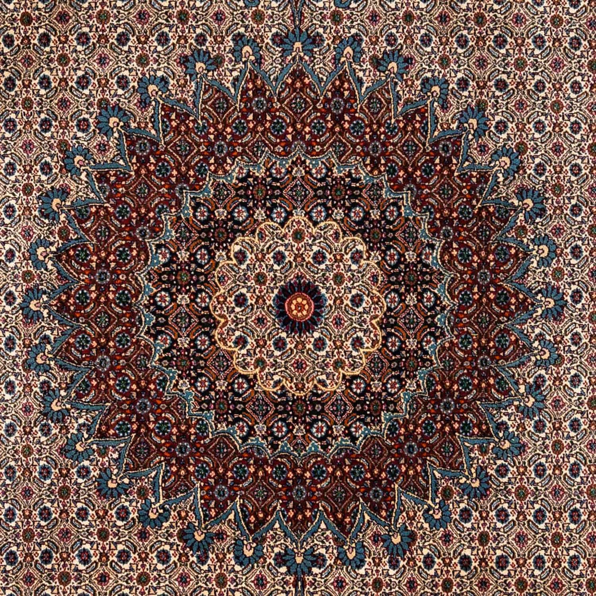 Persisk matta - Classic - 342 x 248 cm - ljusbrun