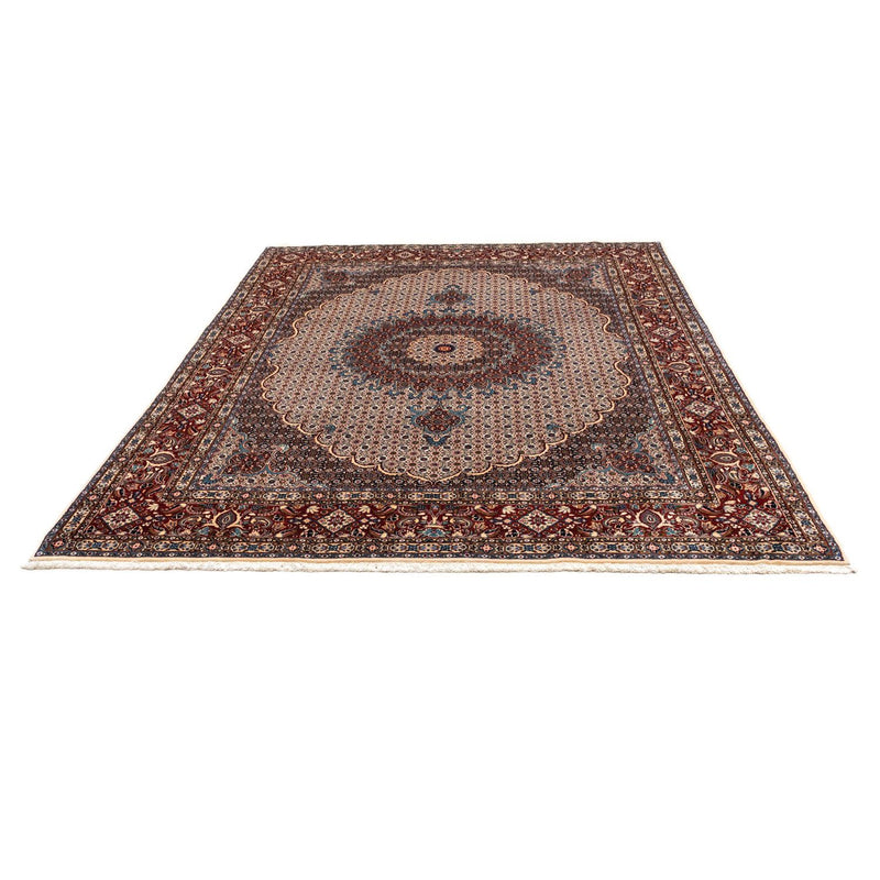 Persisk matta - Classic - 342 x 248 cm - ljusbrun