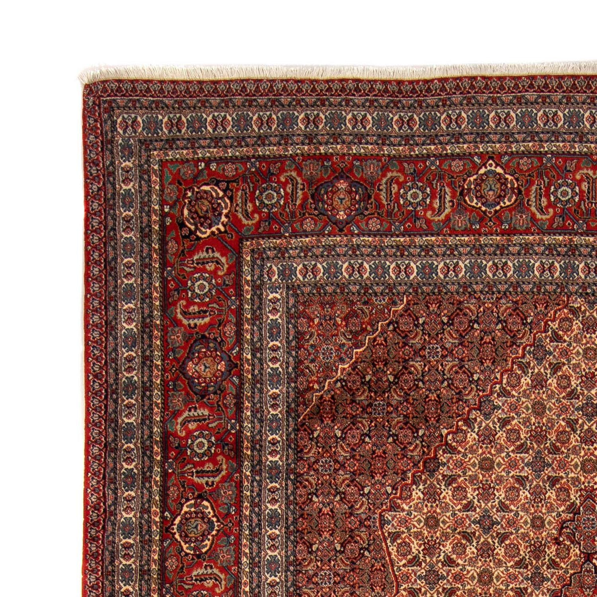 Sarab Mattan 244x333cm - Persisk matta