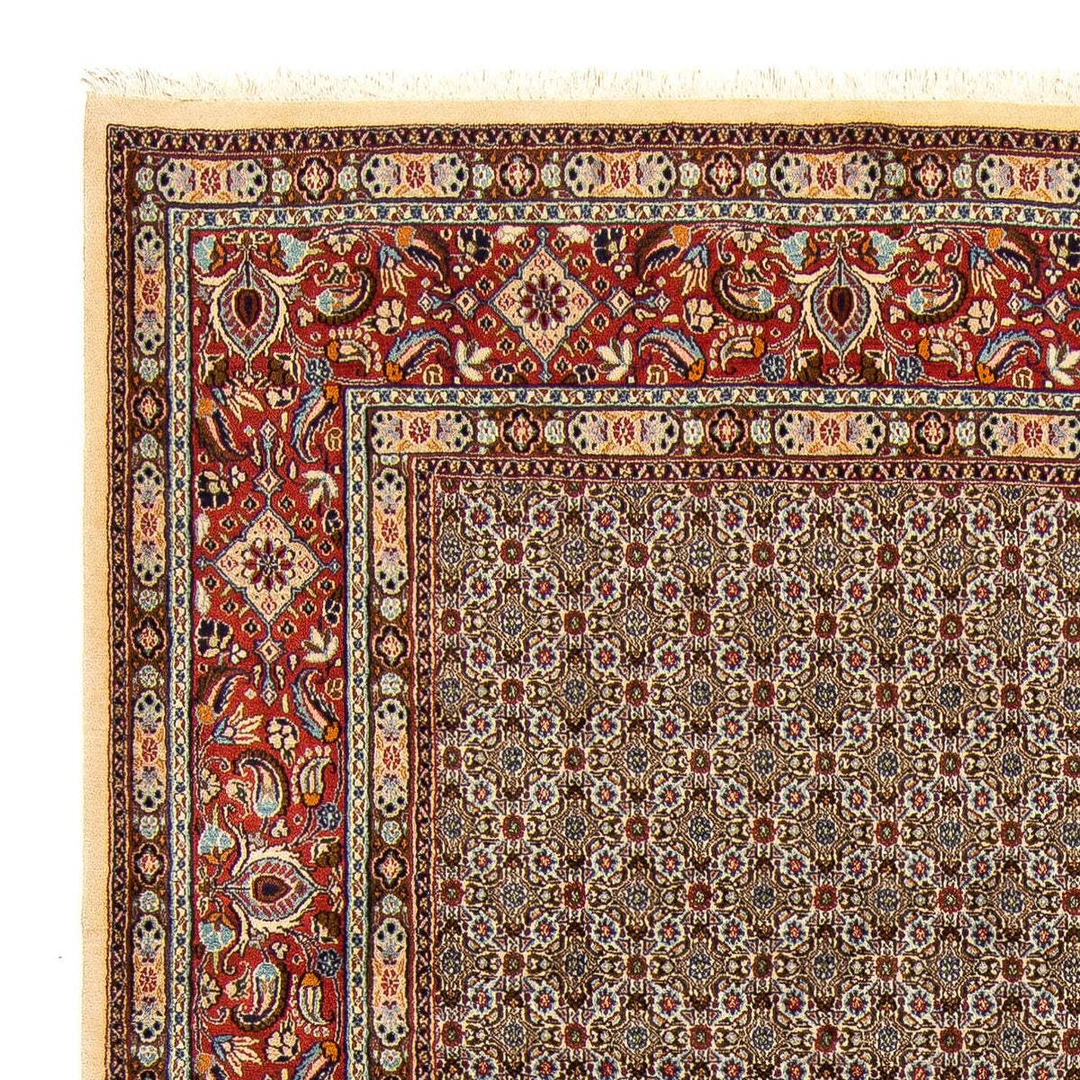 Moud Mattan 250x345cm - Persisk matta