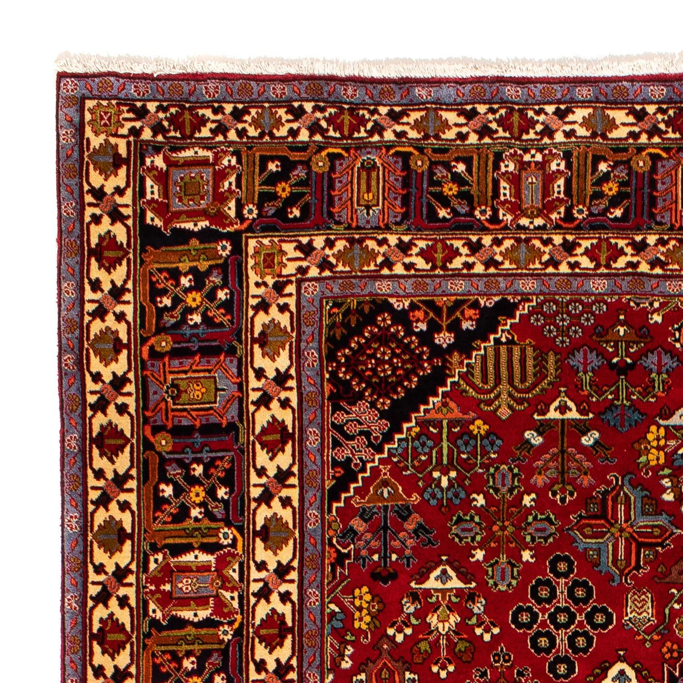 Meymeh Mattan 323x203cm - Persisk matta