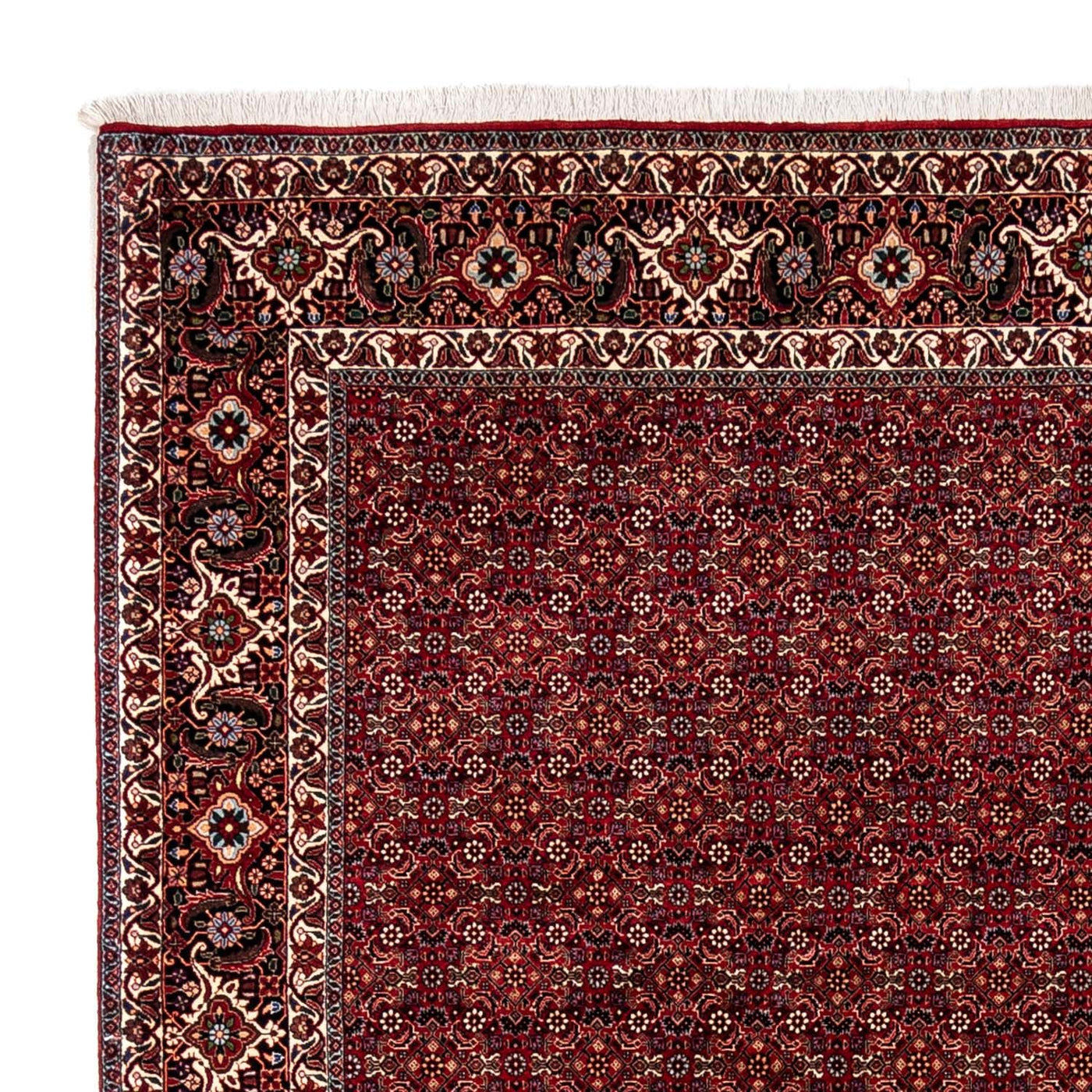 Bidjar - Zanjan Mattan 350x250cm - Persisk matta