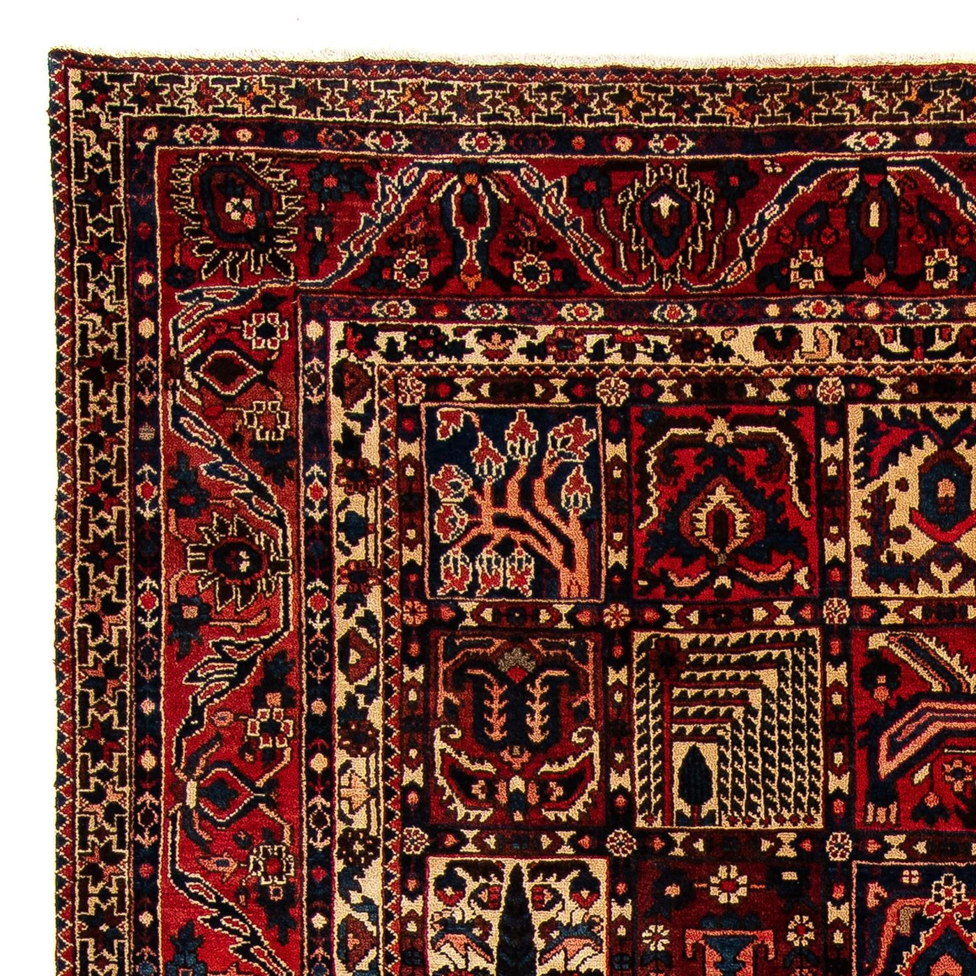 Bakhtiari Mattan 374x305cm - Persisk matta
