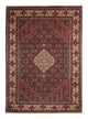 Bidjar Mattan 243x348cm - Persisk matta