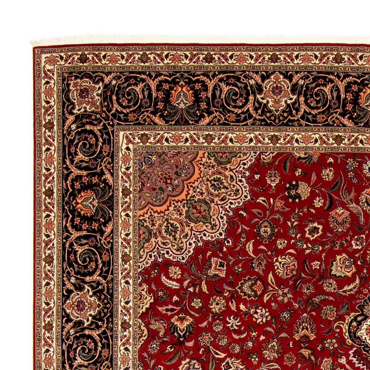 Tabriz - 50 Raj Mattan 302x396cm - Persisk matta
