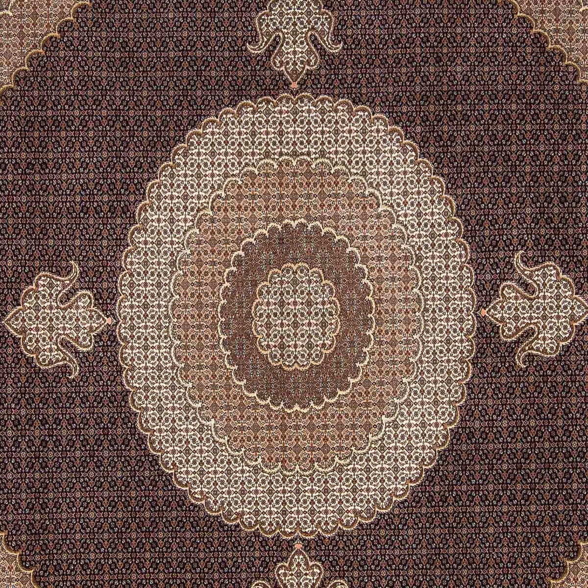 Persisk matta - Tabriz kvadrat  - 310 x 302 cm - mörkbrun