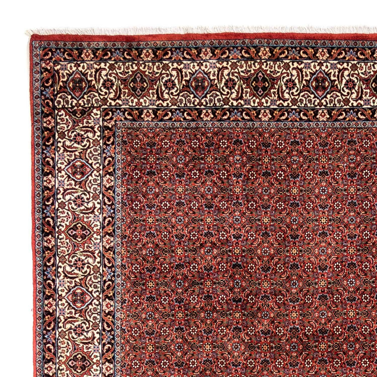 Bidjar - Takab Mattan 248x363cm - Persisk matta