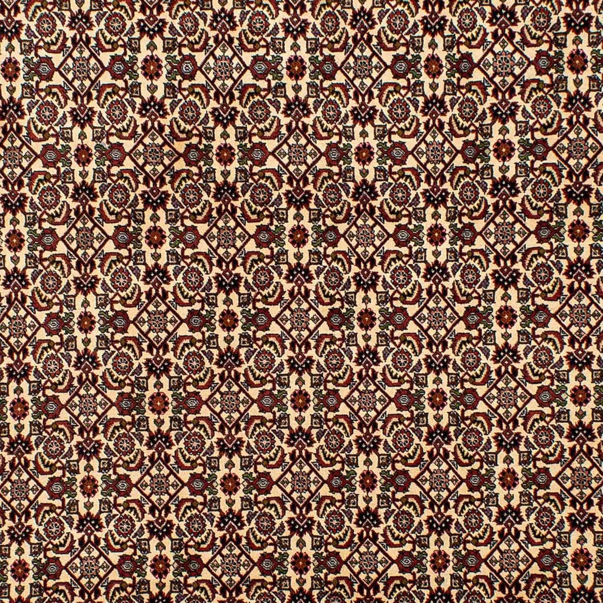 Persisk matta - Bijar - 298 x 200 cm - beige