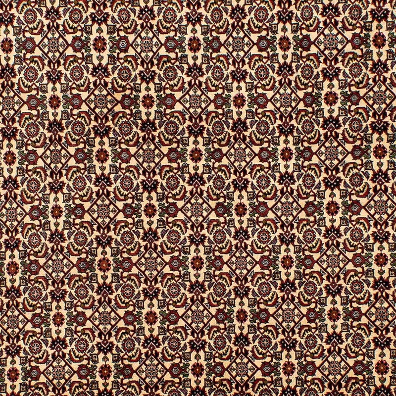 Persisk matta - Bijar - 298 x 200 cm - beige