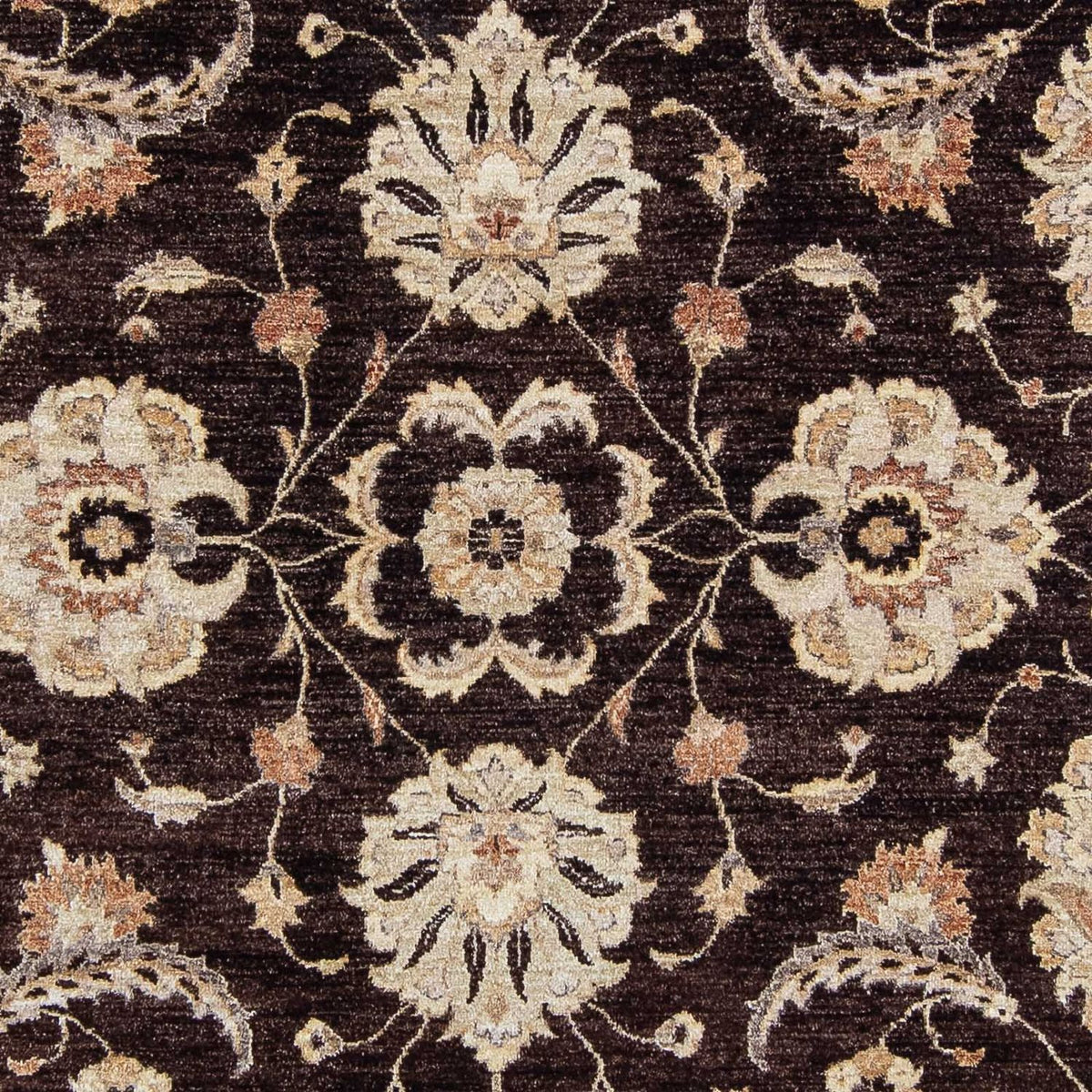Ziegler Carpet - 338 x 241 cm - mörkbrun