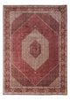 Bidjar - Takab Mattan 253x343cm - Persisk matta