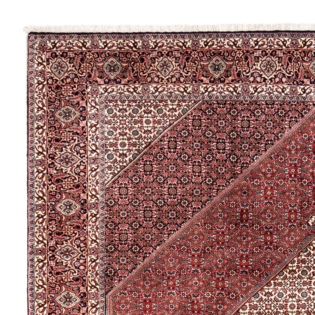 Bidjar - Takab Mattan 253x343cm - Persisk matta