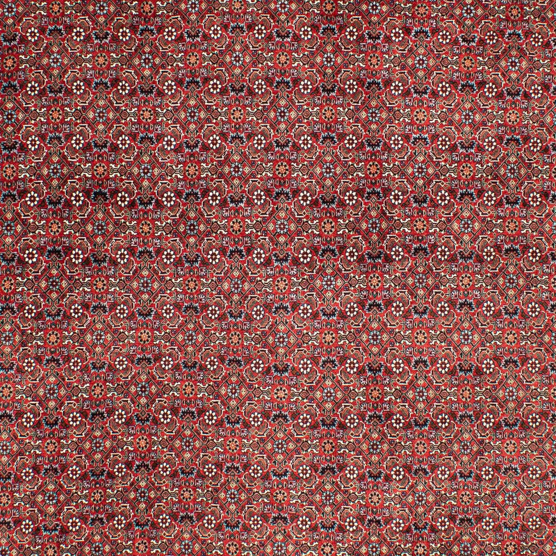 Persisk matta - Bijar - 290 x 203 cm - mörkröd