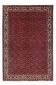 Bidjar Mattan 243x172cm - Persisk matta