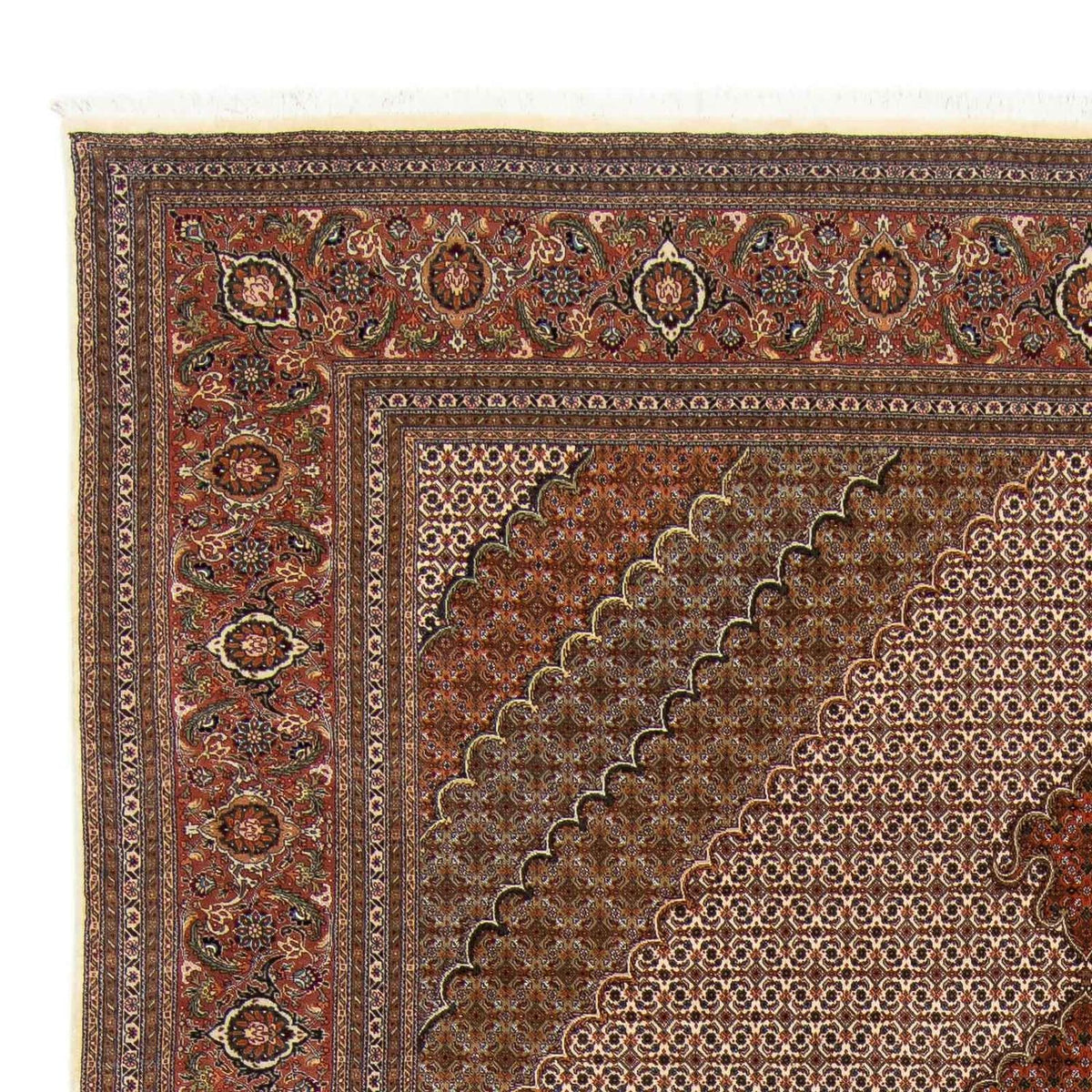 Tabriz - 50 Raj Mattan 250x349cm - Persisk matta
