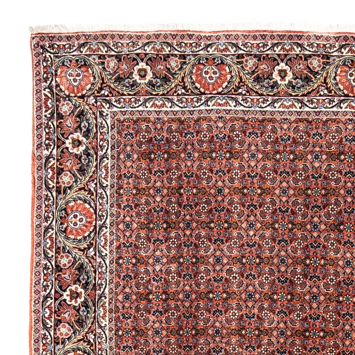 Bidjar - Takab Mattan 206x288cm - Persisk matta