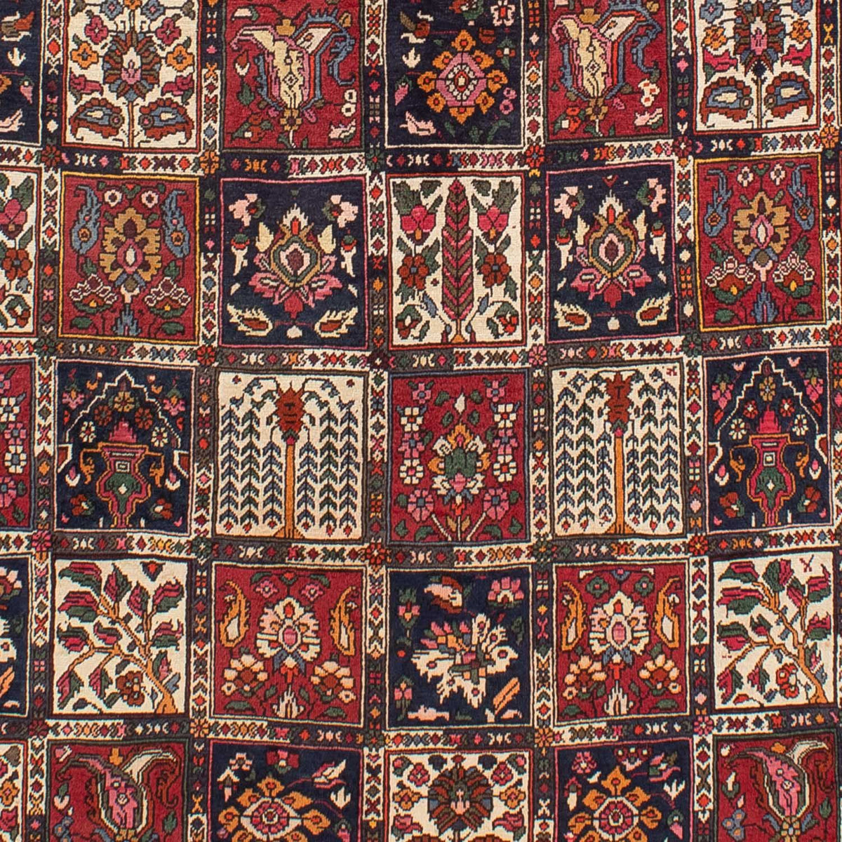 Persisk matta - Nomadic - 298 x 210 cm - röd