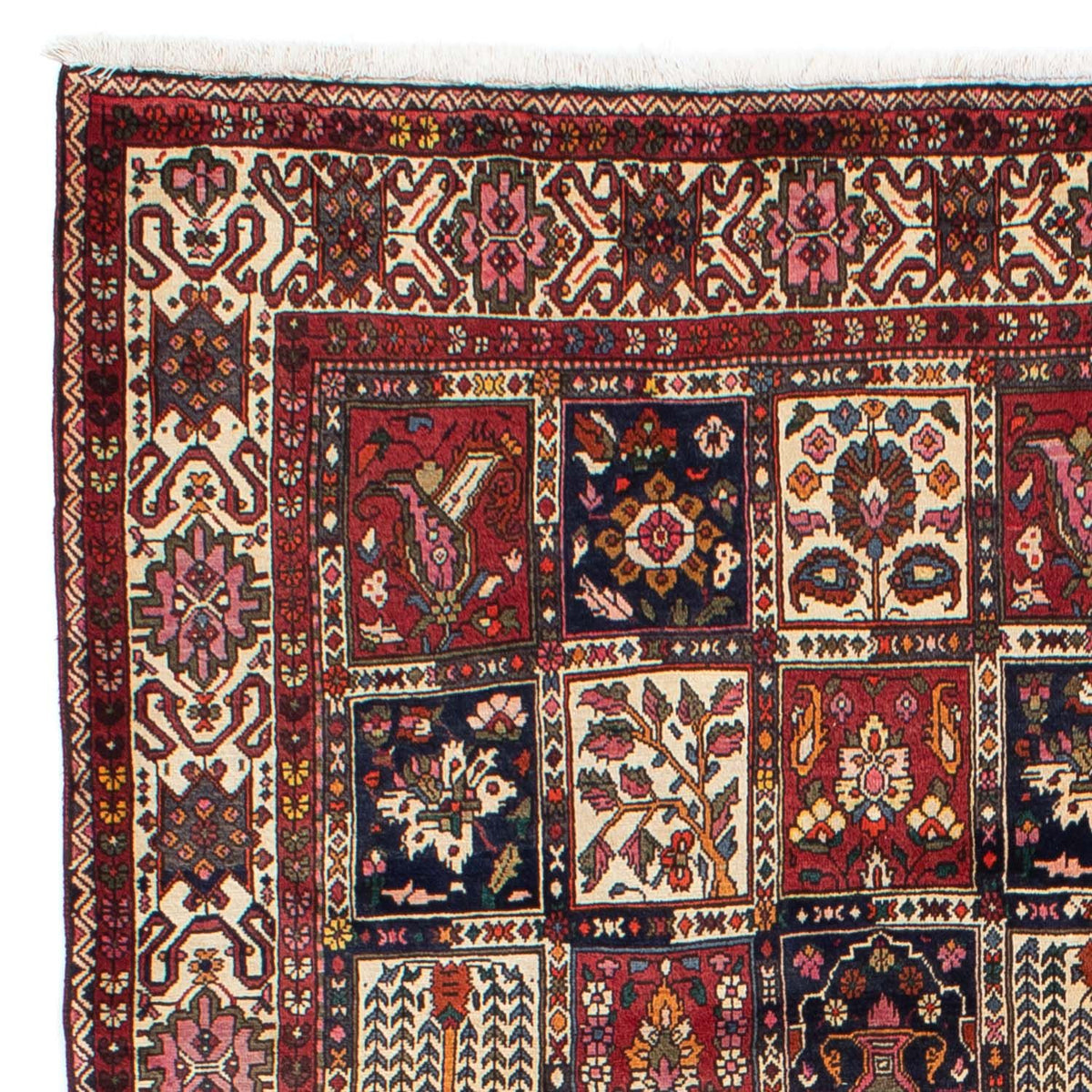 Persisk matta - Nomadic - 298 x 210 cm - röd